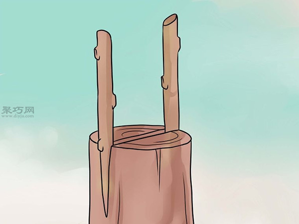 怎么样用腭裂嫁接法嫁接树 嫁接树教程图解(图5)