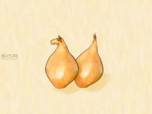 怎样在室内花盆里种植葱 一起学种植大葱步骤(图1)