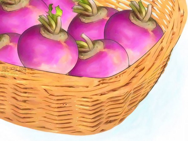 怎么样收获萝卜 种植萝卜图片教程(图3)