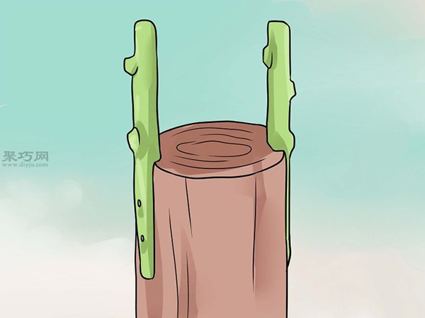 怎么用树皮嫁接法嫁接树 一起学嫁接树教程(图5)