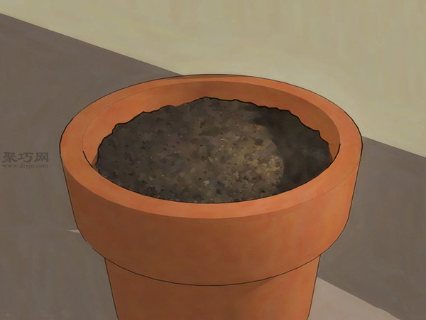 怎样在室内花盆里种植葱 一起学种植大葱步骤(图2)