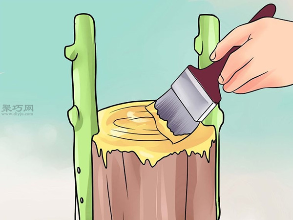 怎么用树皮嫁接法嫁接树 一起学嫁接树教程(图6)