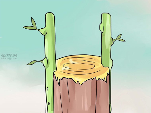 怎么用树皮嫁接法嫁接树 一起学嫁接树教程(图7)