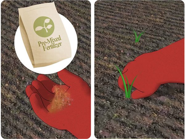 花园种植辣椒的准备工作 来看种植辣椒的方法(图2)