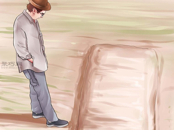 栽种甜菜方法 如何栽种甜菜 - 功圣花卉