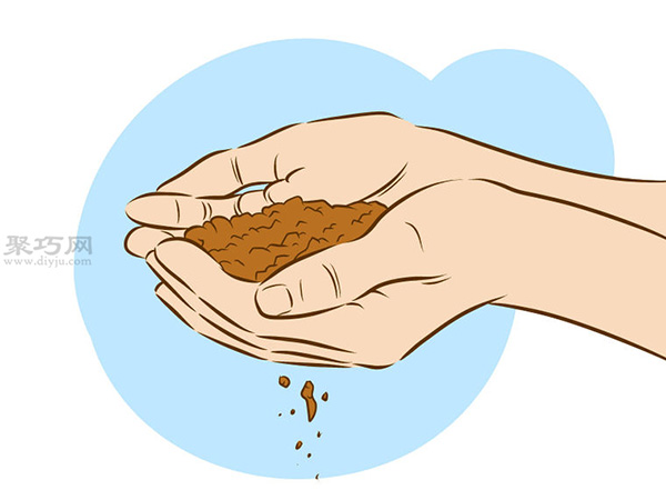 栽种甜石竹图片教程 怎么样栽种甜石竹(图5)