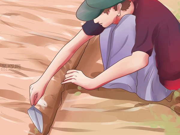 栽种甜菜方法 如何栽种甜菜(图3)