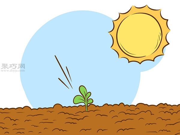 栽种甜石竹图片教程 怎么样栽种甜石竹(图6)