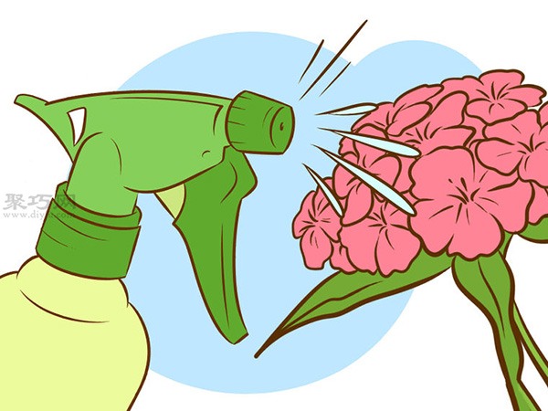 栽种甜石竹图片教程 怎么样栽种甜石竹(图10)