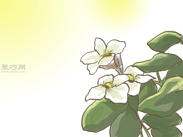 种橄榄步骤 怎么样种橄榄(图3) 种橄榄步骤 怎么样种橄榄(图3)