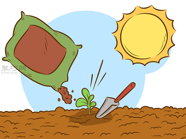 栽种甜石竹图片教程 怎么样栽种甜石竹(图9)