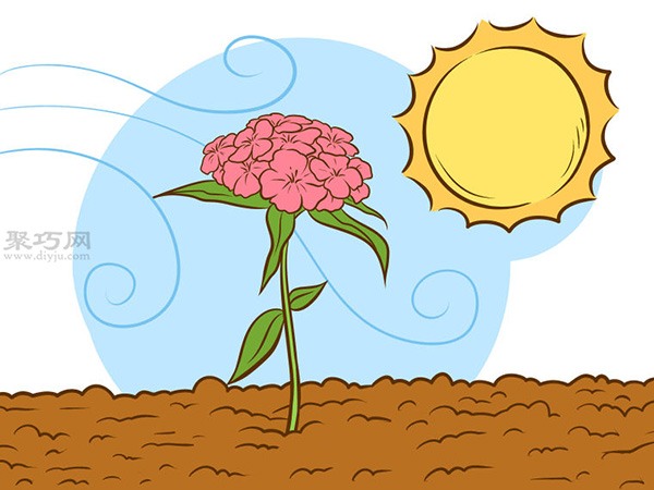 栽种甜石竹图片教程 怎么样栽种甜石竹(图4)