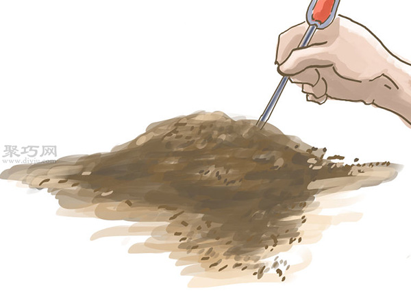 种橄榄步骤 怎么样种橄榄(图6)