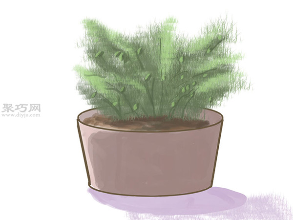 种橄榄步骤 怎么样种橄榄(图9)