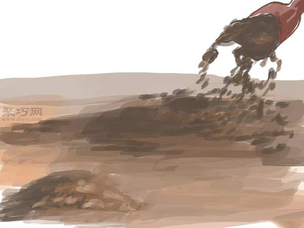 种橄榄步骤 怎么样种橄榄(图10)