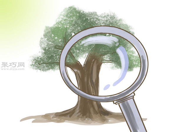 种橄榄步骤 怎么样种橄榄(图8)