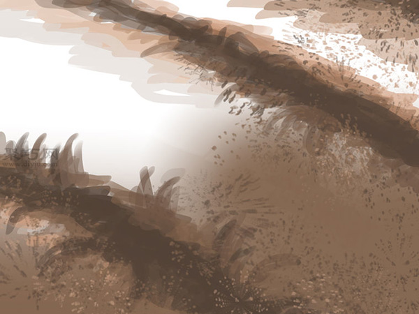 种橄榄步骤 怎么样种橄榄(图12)