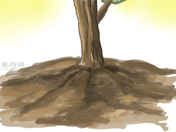 种橄榄步骤 怎么样种橄榄(图15) 种橄榄步骤 怎么样种橄榄(图15)