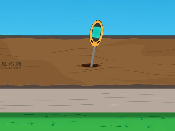 种植菠菜方法 怎么种植菠菜(图6)