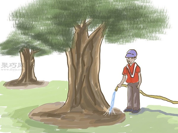 种橄榄步骤 怎么样种橄榄(图17)