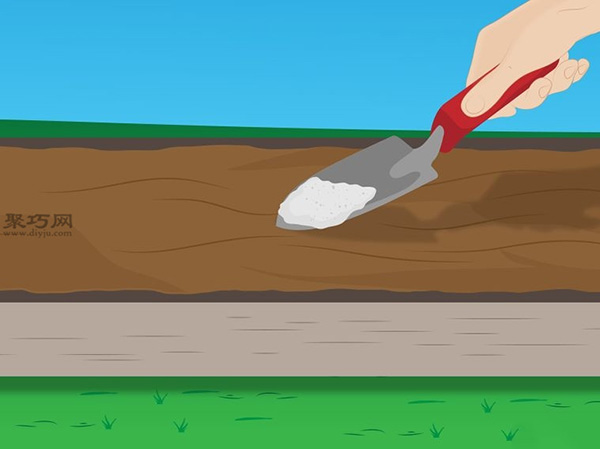 种植菠菜方法 怎么种植菠菜(图7)