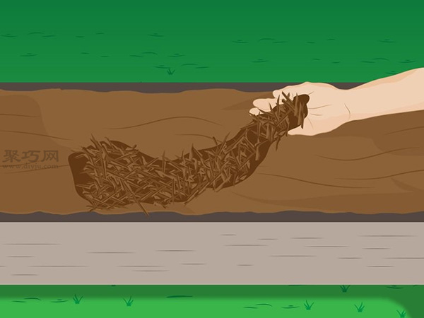 种植菠菜方法 怎么种植菠菜(图11)