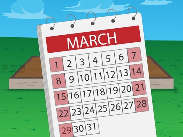 种植菠菜方法 怎么种植菠菜(图8)