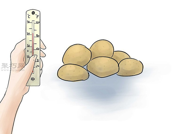 如何种植红薯 教你种植红薯教程(图6)