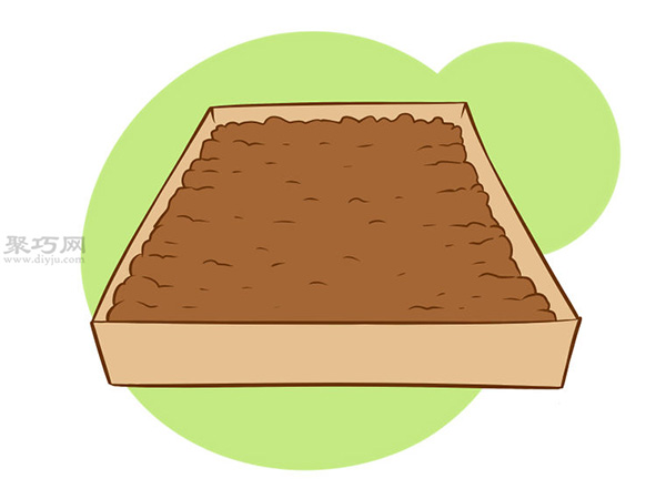 怎么样种植一年花冠芦笋 种芦笋教程图解 - 功圣花卉