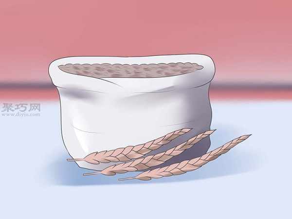 怎么样让谷物发芽 种植幼芽图片教程 - 功圣花卉