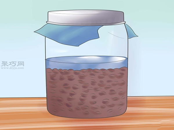 怎么样让谷物发芽 种植幼芽图片教程(图2)