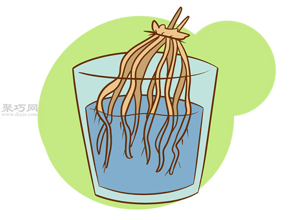 怎么样种植一年花冠芦笋 种芦笋教程图解(图4)