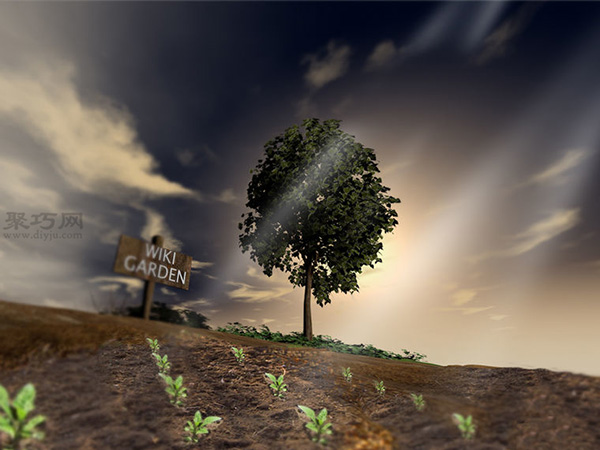 种植甘蓝图解教程 如何种植甘蓝(图6)