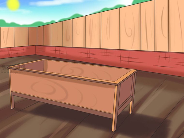 怎样自己种植向日葵 种植向日葵教程图解(图6)