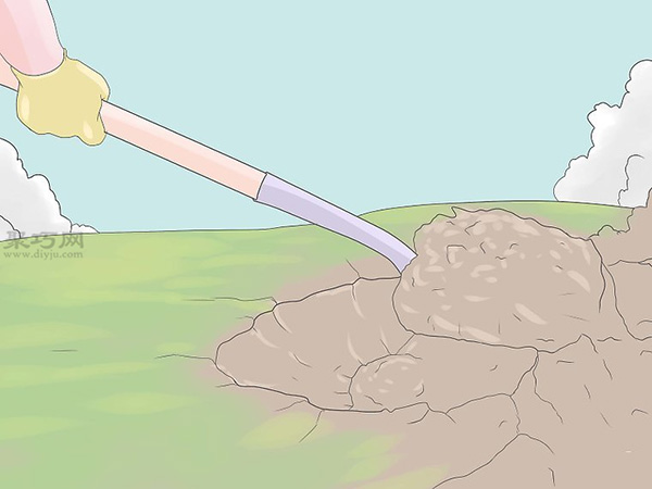 种植玫瑰教程 怎么种植玫瑰(图14)