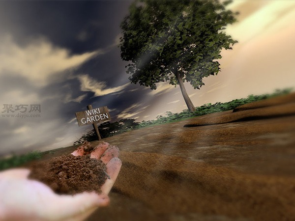 种植甘蓝图解教程 如何种植甘蓝(图5)