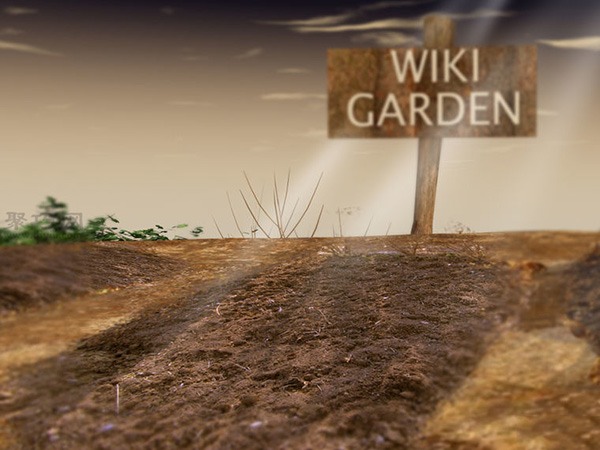 种植甘蓝图解教程 如何种植甘蓝(图3)