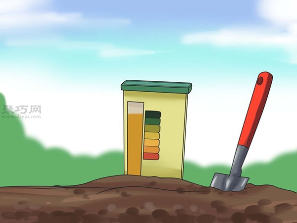 怎样自己种植向日葵 种植向日葵教程图解(图4)