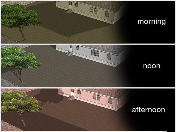 怎么样种植豆类 种植豆类和豌豆教程图解 - 功圣花卉