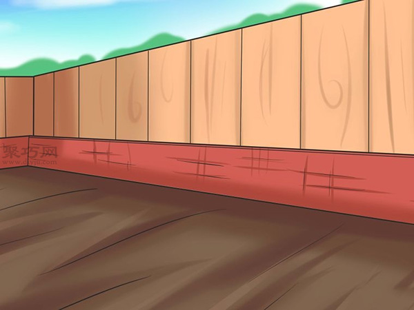 怎样自己种植向日葵 种植向日葵教程图解(图3)