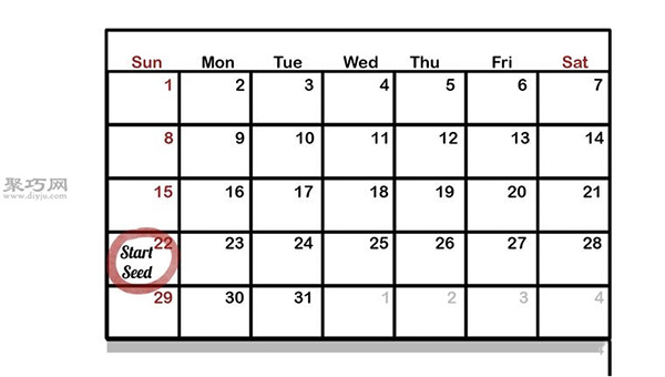 让种子发芽图片教程 怎么样让种子发芽(图2)