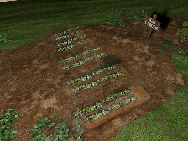 种植甘蓝图解教程 如何种植甘蓝(图13)