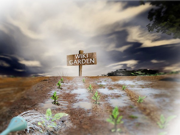 种植甘蓝图解教程 如何种植甘蓝(图14)