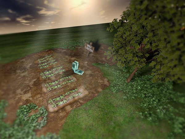 种植甘蓝图解教程 如何种植甘蓝(图16)