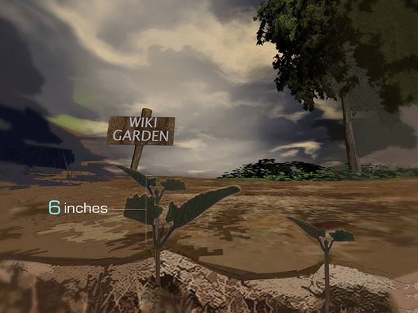 种植甘蓝图解教程 如何种植甘蓝(图17)