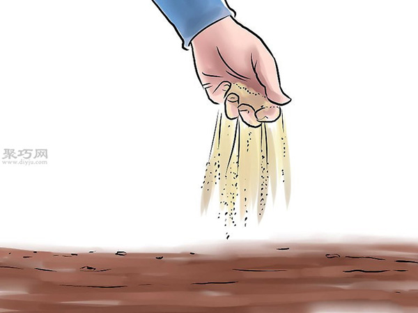 种黄瓜图片教程 怎么样种黄瓜(图4)