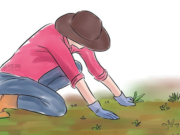 种黄瓜图片教程 怎么样种黄瓜(图3)