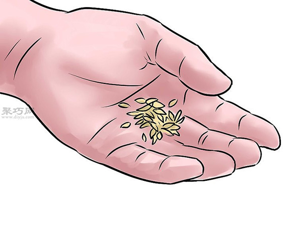 种黄瓜图片教程 怎么样种黄瓜(图8)