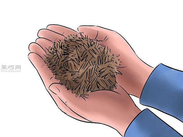 种黄瓜图片教程 怎么样种黄瓜(图6)