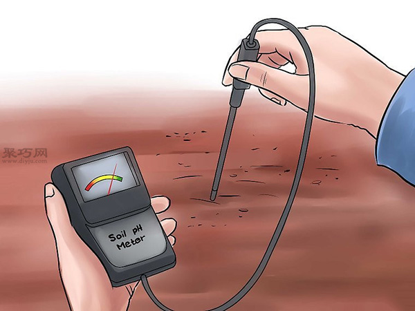 种黄瓜图片教程 怎么样种黄瓜(图5)